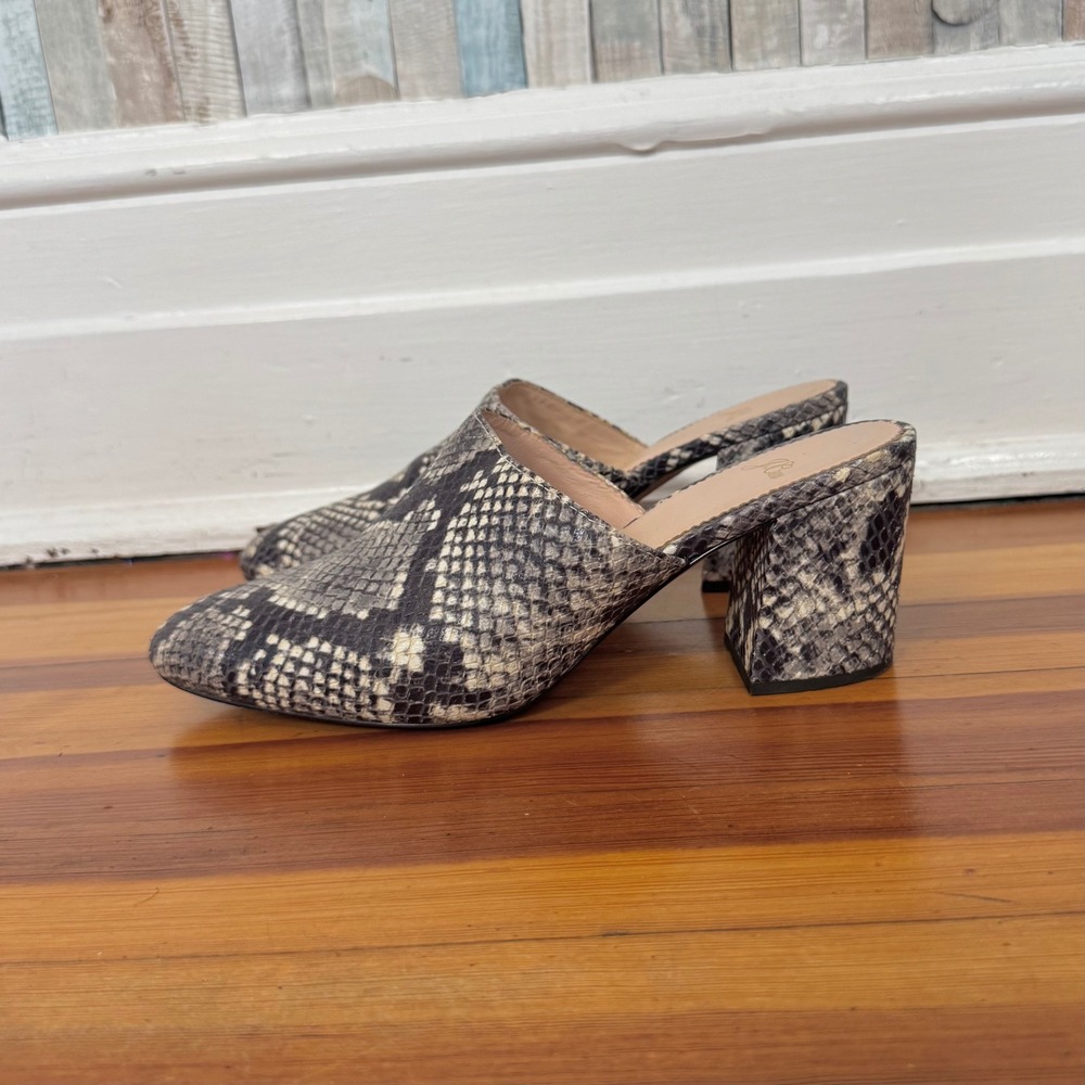 J Crew Sophie Mule Snakeskin Leather Block Heel Slip On Shoes Gray Pointed Toe 8